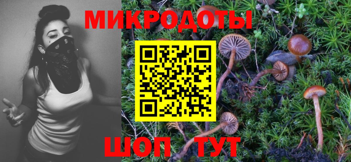 Псилоцибиновые грибы мухоморы  Вход с VPN  купить наркотики сайты  Пугачёв 